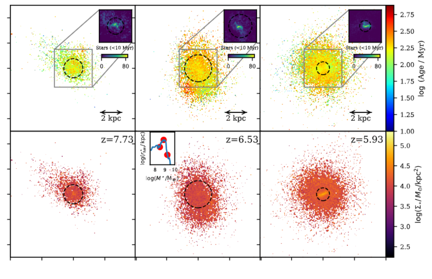 Galaxy sizes and compactness during the epoch of reionization 